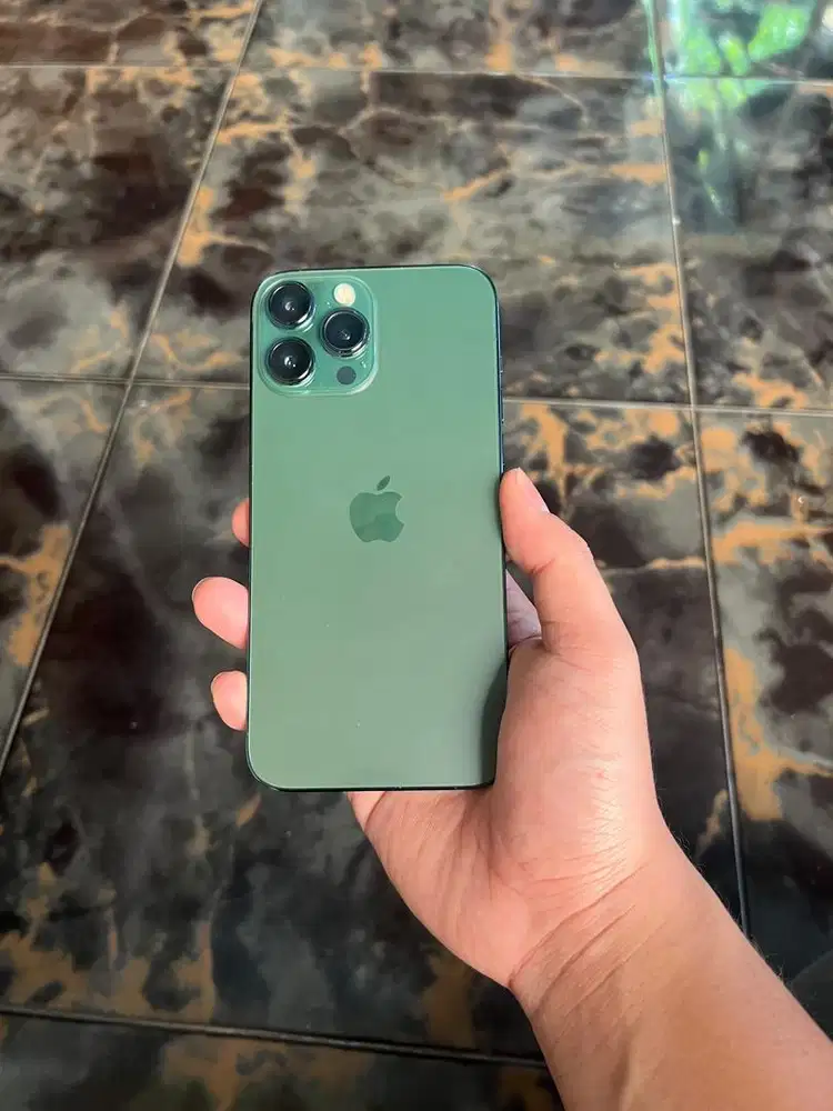iphone 13 promax 256gb