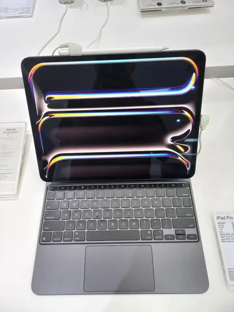 Ipad Pro 13 inci