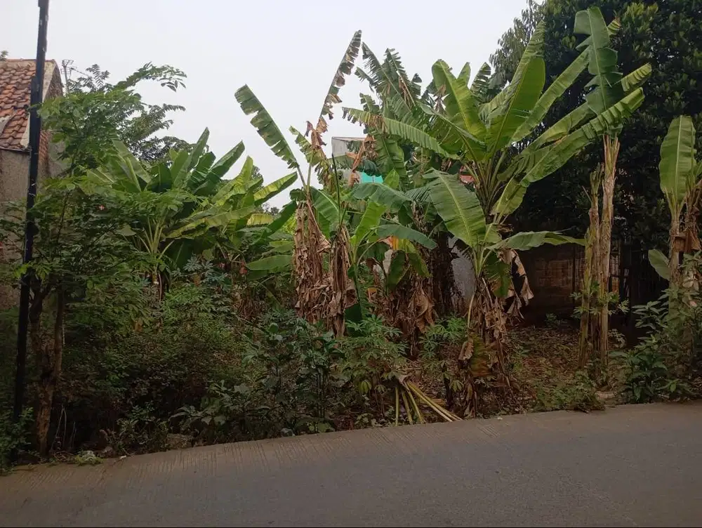 Di Jual Tanah Murah Nego sampai Jadi