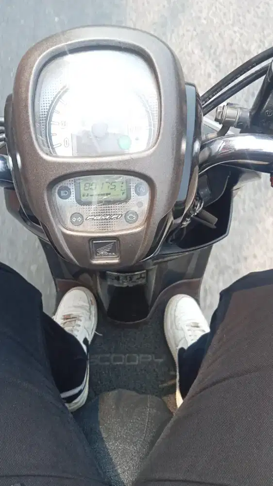 Sedang mencari kerja