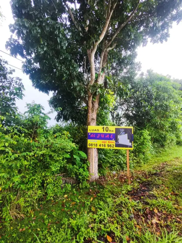 Tanah Luas di BATULICIN, TANAHBUMBU