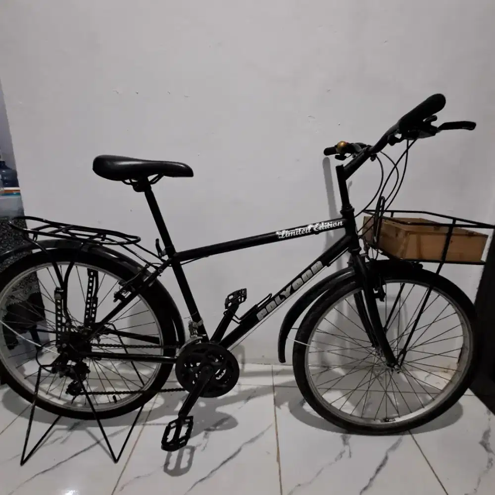 Sepeda Polygon City 17.5 Inch