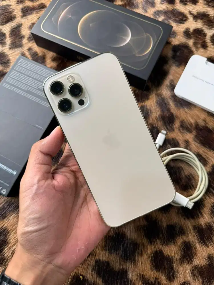 iPhone 12 Pro Max 128GB BH77 Resmi (Gold)