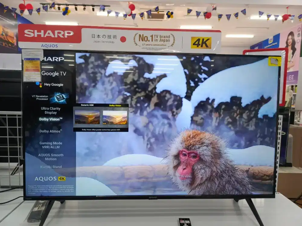 TV 43, 50, 55 inch ke atas
