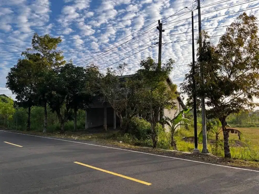DIJUAL TANAH STRATEGIS PINGGIR JALAN PROVINSI