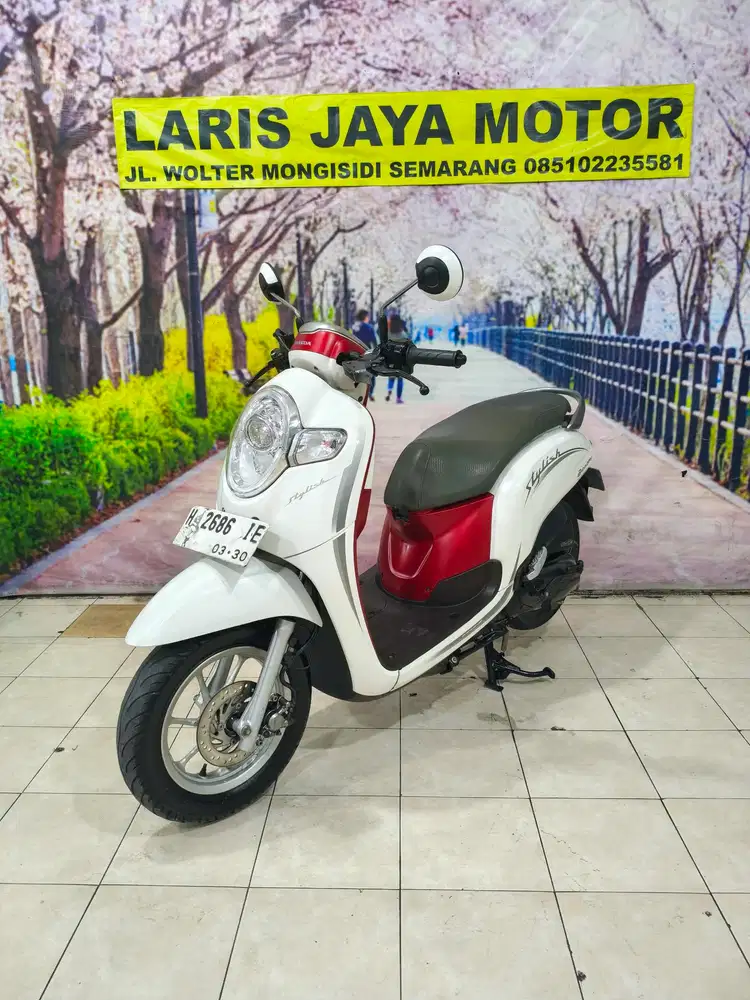 Scoopy stylish istimewa