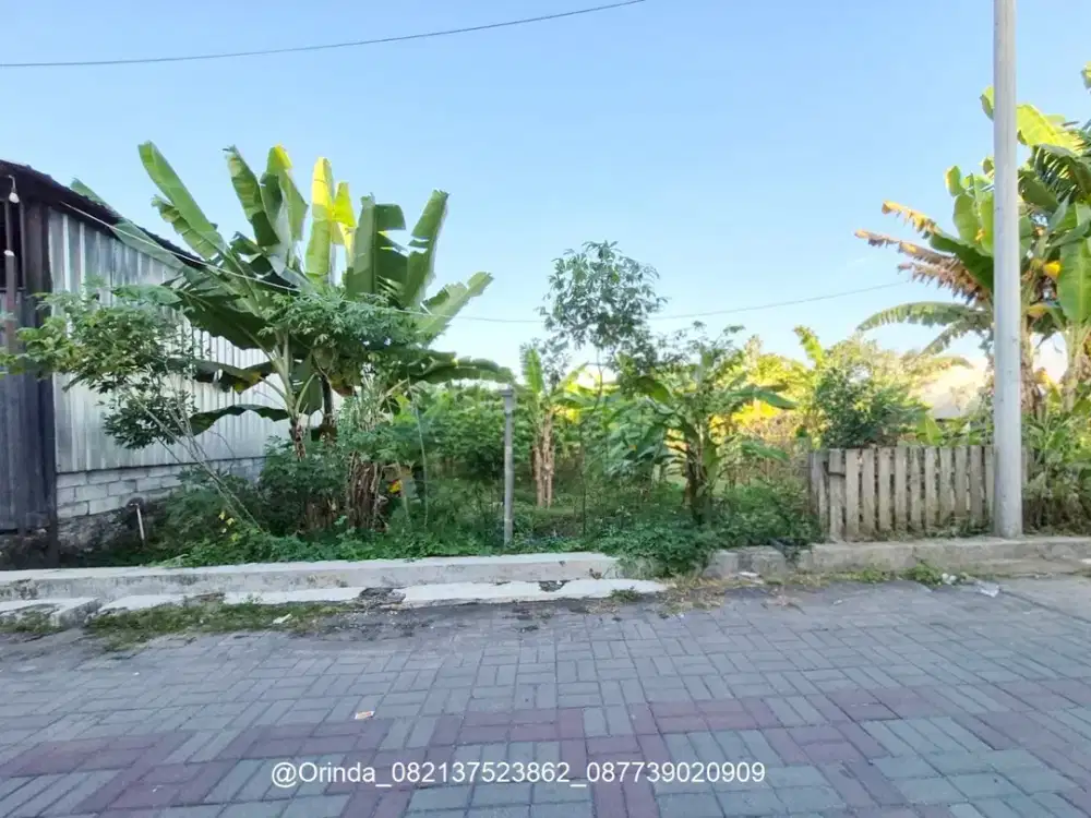 LT 659 LD10 CONDONGCATUR DEPOK SLEMAN DALAM RINGROAD DEKAT PAKUWON, POLDA DIY, RS JIH, UPN, UII CONCAT, SETURAN, BABARSARI, JL WAHID HASYIM, AFFANDI