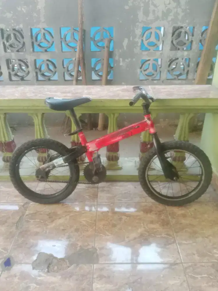 Sepeda anak jenis minion