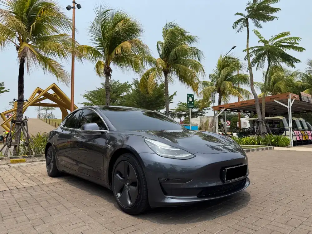 TESLA MODEL 3 CASH 2020