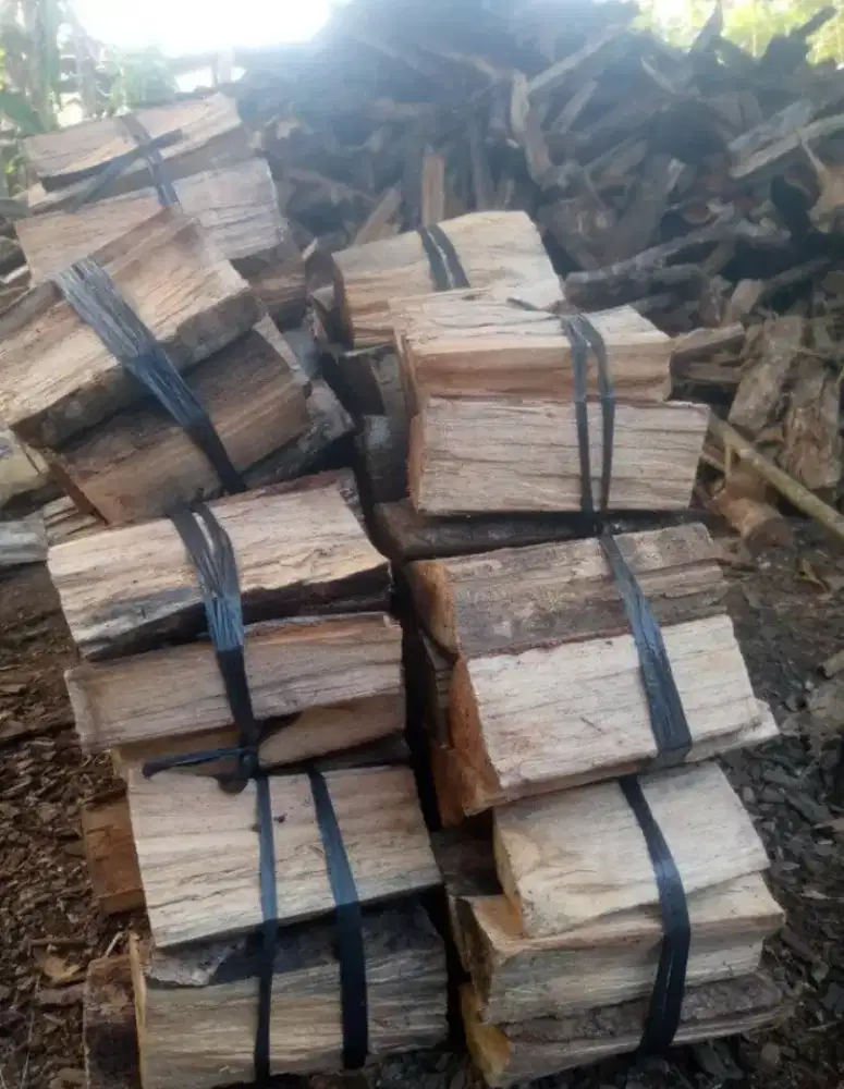 Supplier kayu karet bakar