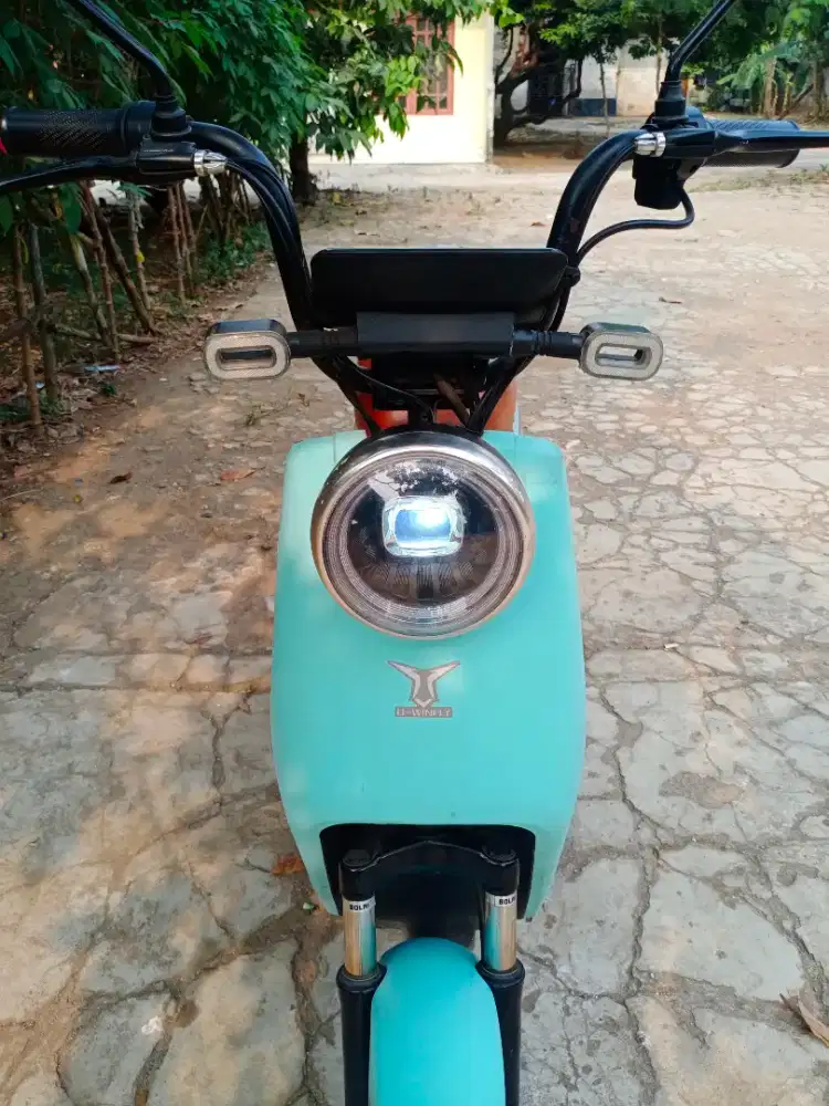 Sepeda listrik uwinfly