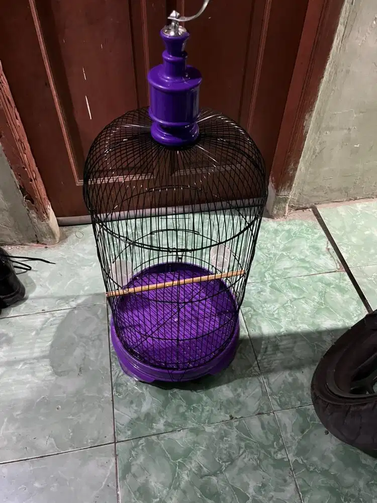 kandang burung lakbet kondisi masih bagus