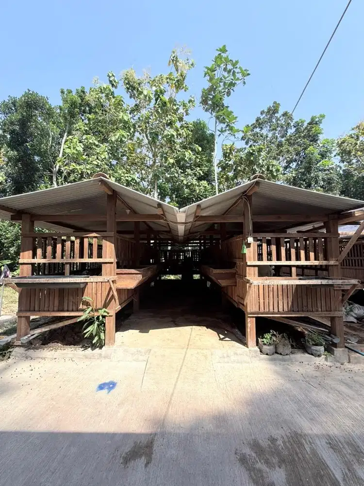 Jual tanah murah dan ternak