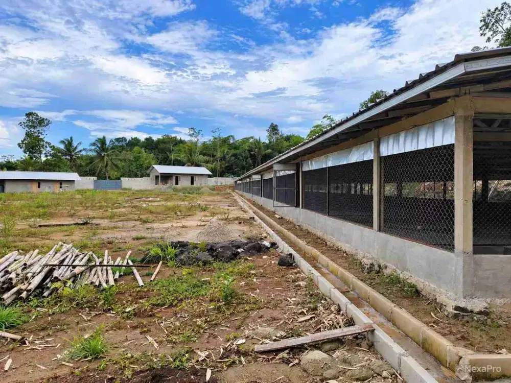 Dijual cepat tanah peternakan siap pakai di Maja