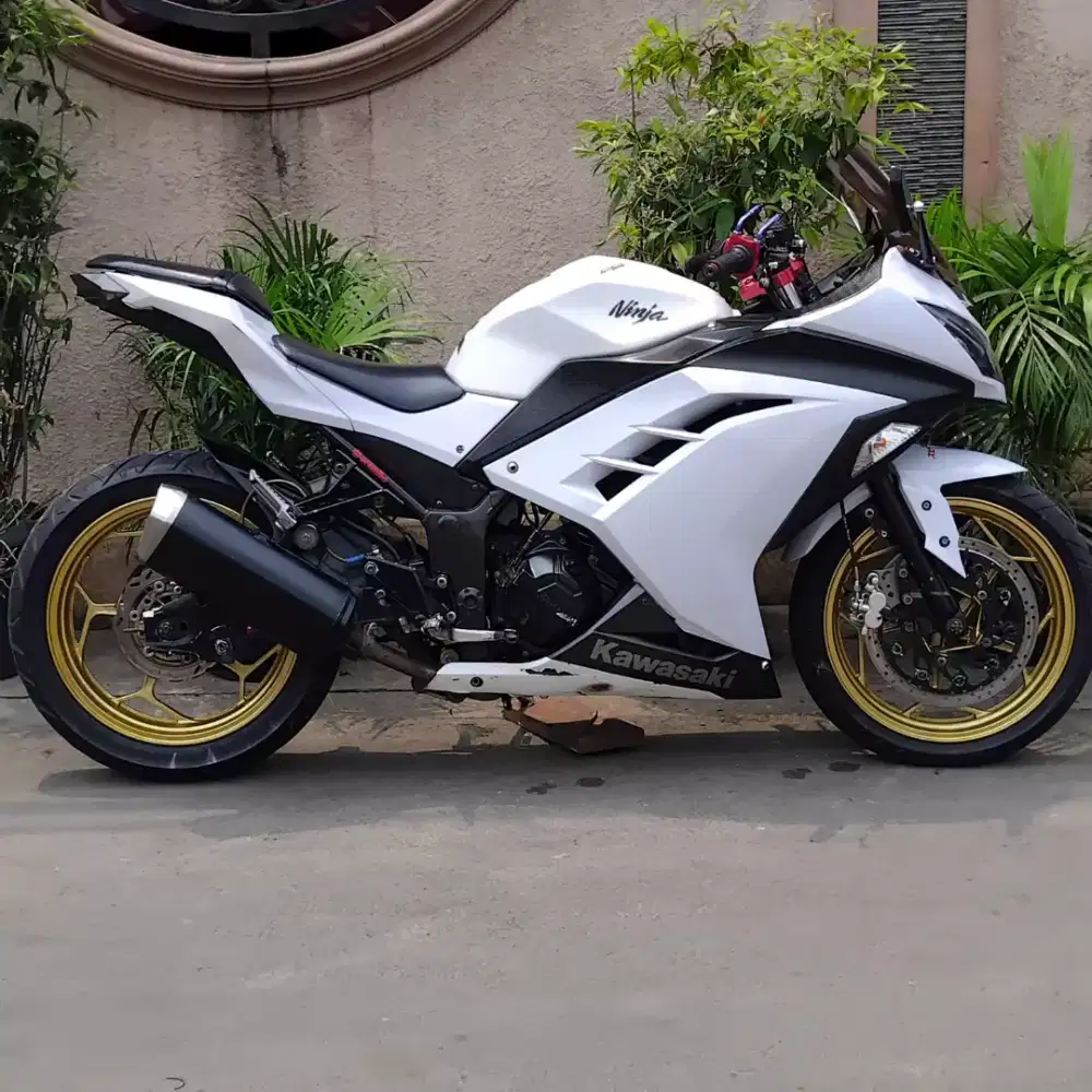 Kawasaki Ninja 250 FI