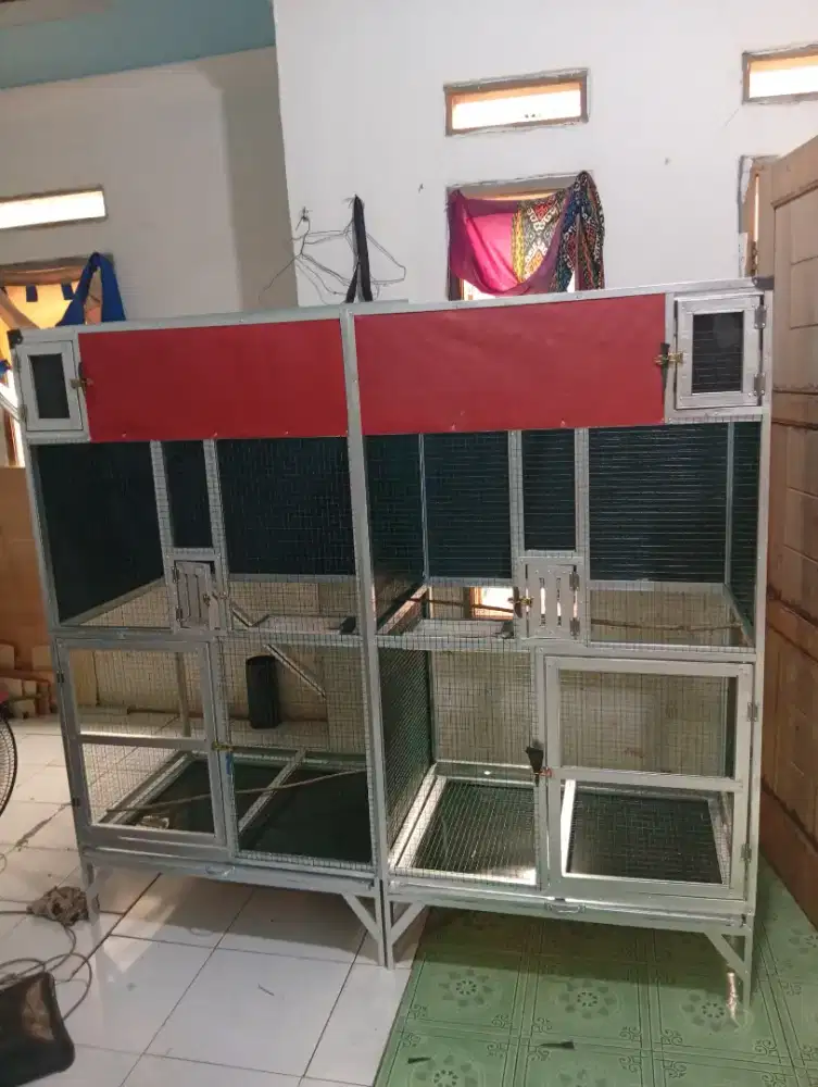 Kandang ternak 2 kotak