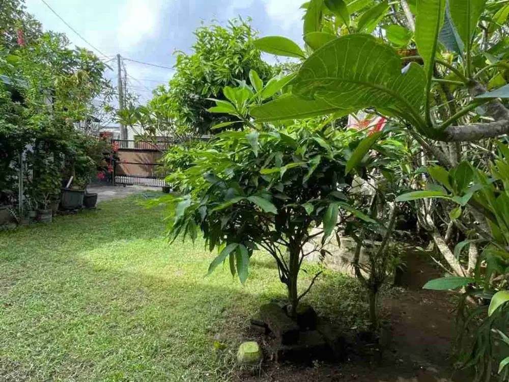 Tanah murah puri gading jimbaran