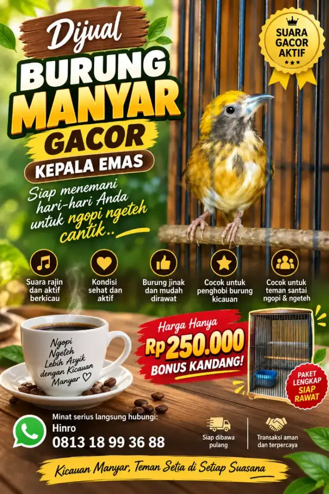 BURUNG MANYAR GACOR KEPALA EMAS