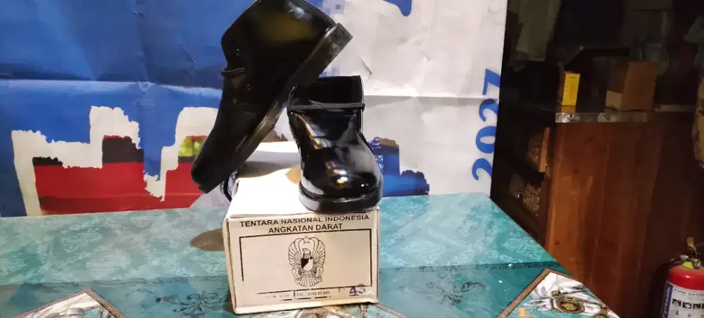 SEPATU PDL NO 43
