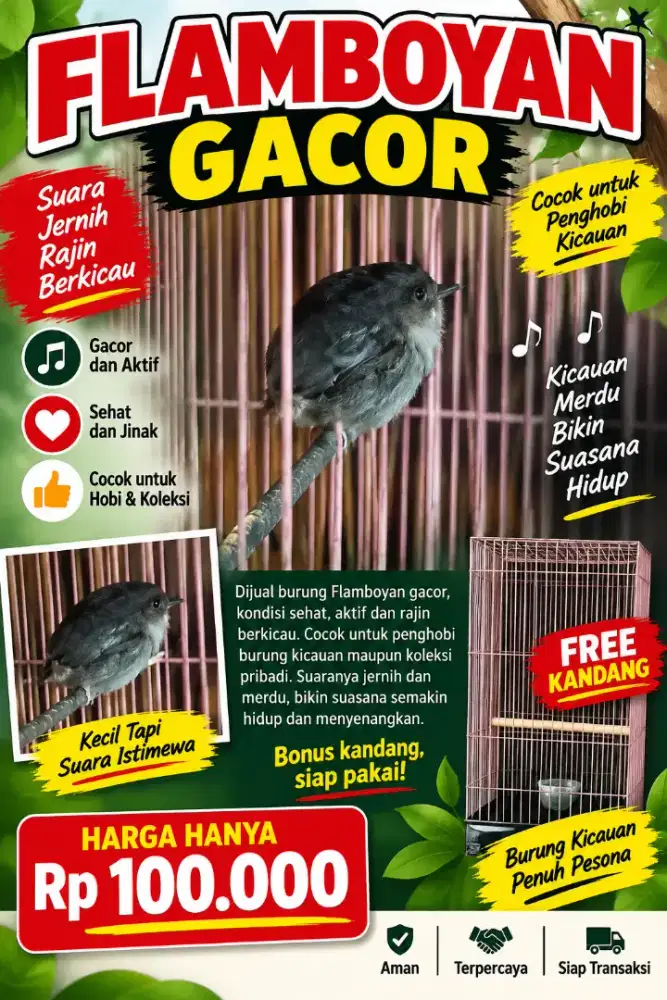 BURUNG FLAMBOYAN GACOR + BONUS KANDANG