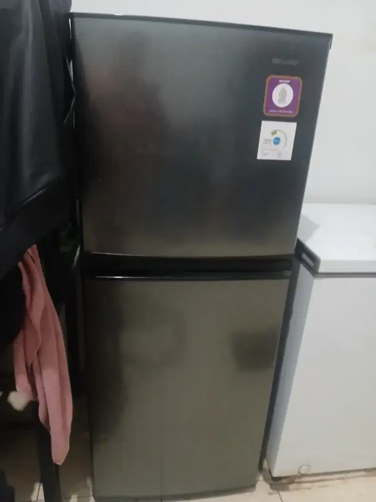 Kulkas sharp 2 pintu