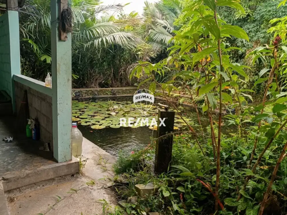 DIJUAL LAHAN LOKASI STRATEGIS KAWASAN TURI KABUPATEN SLEMAN