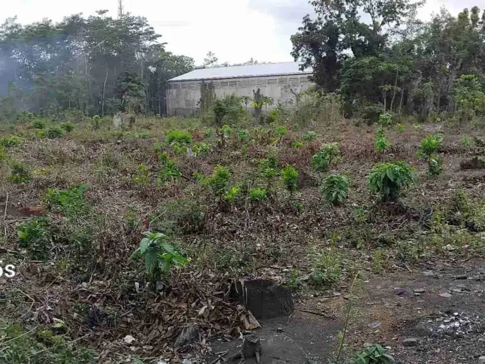 DISEWAKAN TANAH 1,5 HA DI JALAN UTAMA – ZONA INDUSTRI – COCOK UNTUK GUDANG – SEWA 10 TAHUN