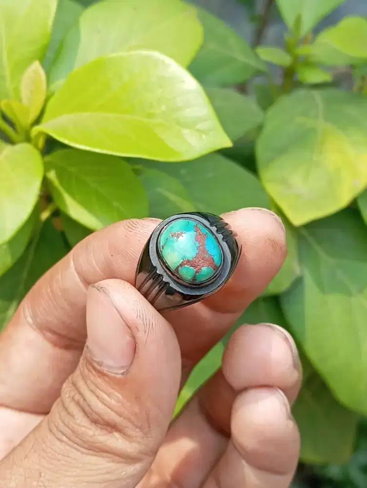 Pirus Mesir Lawasan