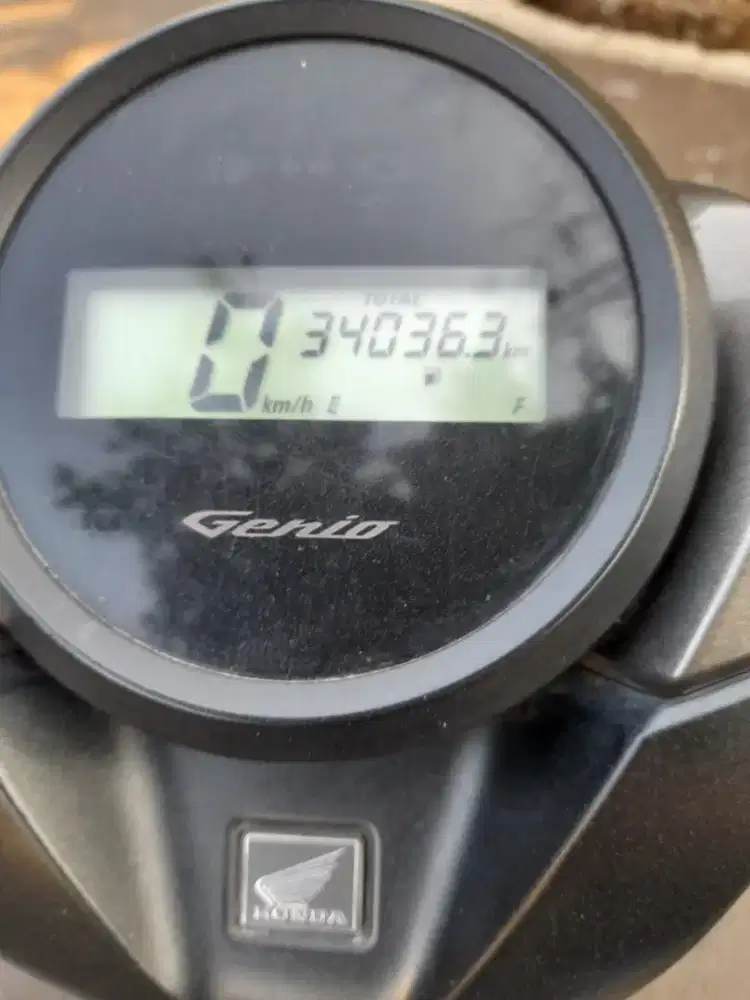 Honda genio 2023