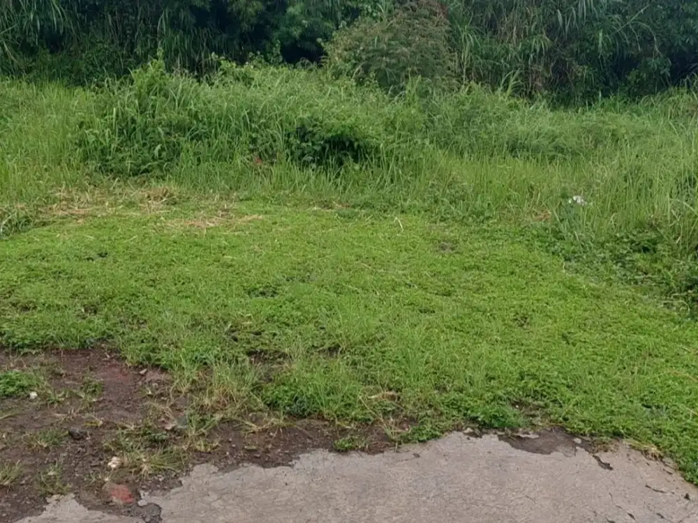 Tanah di Landungsari-Dau Malang
