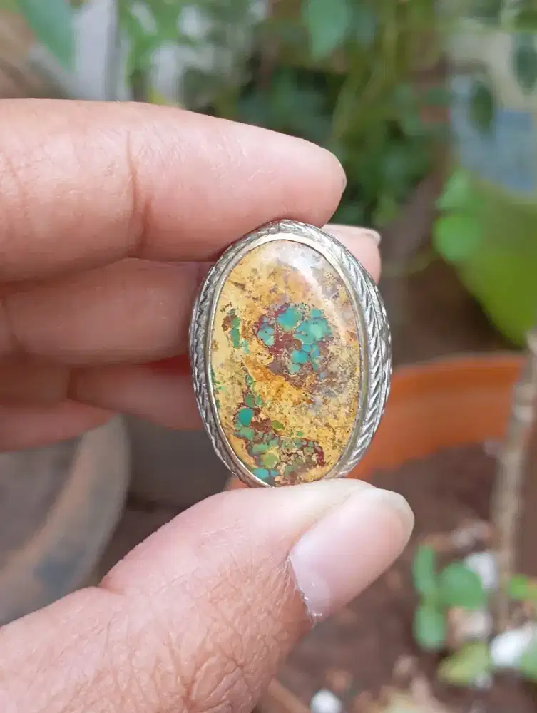 Pirus Persia Unik