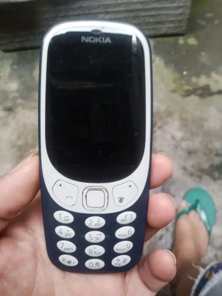 Nokia 3110 reborn