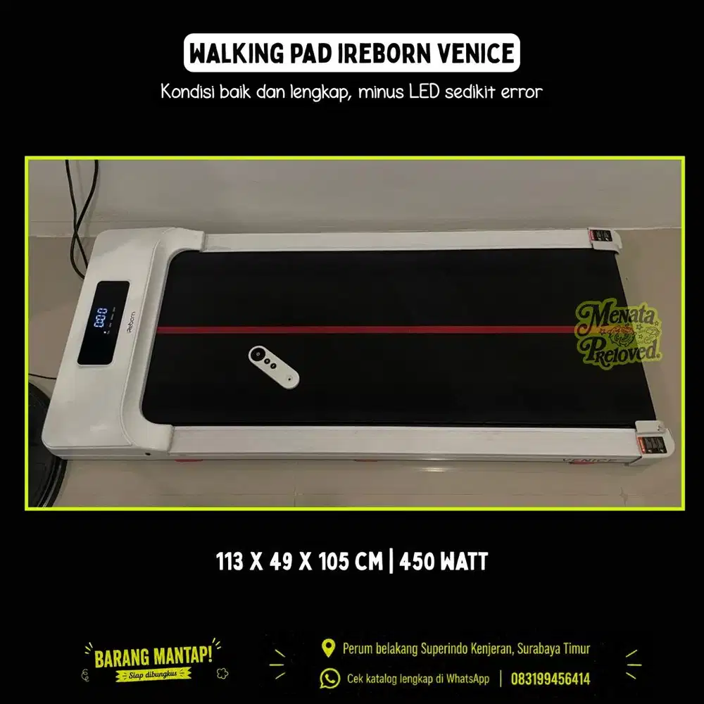 Ireborn Venice Walking Pad