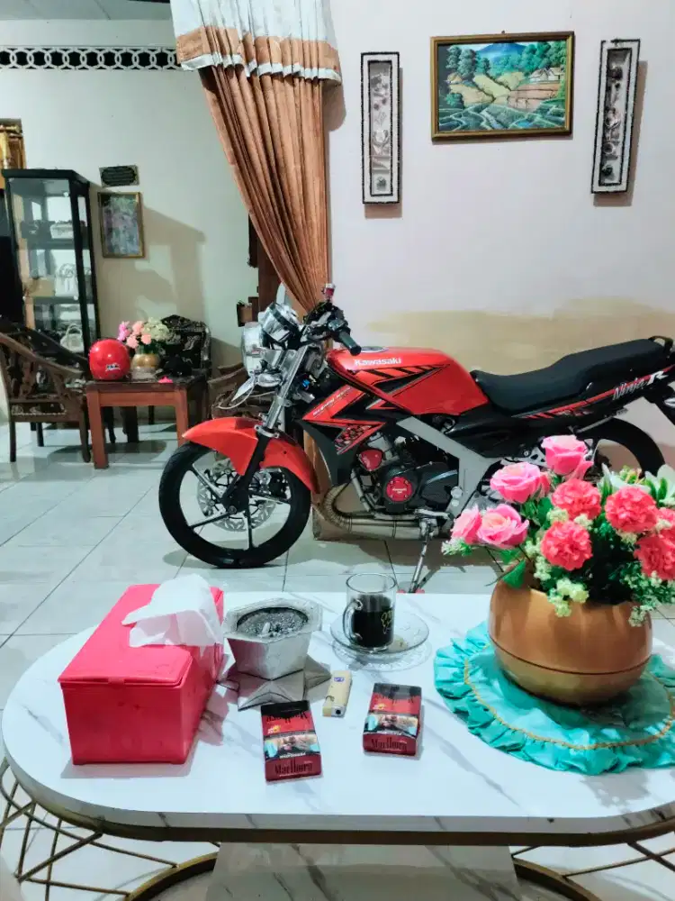 Kawasaki NINJA R 2015