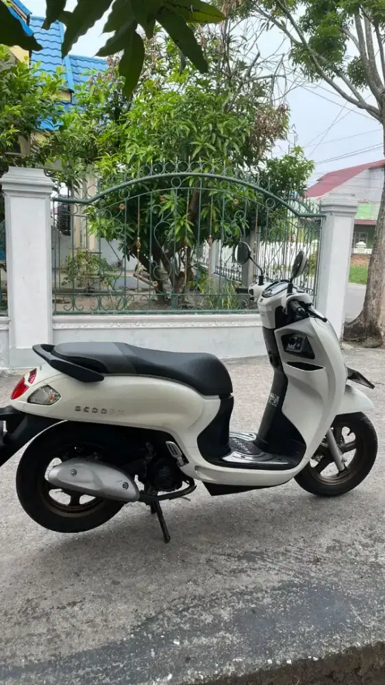 Scoopy prestige terbaru 2025 pajak hidup panjang