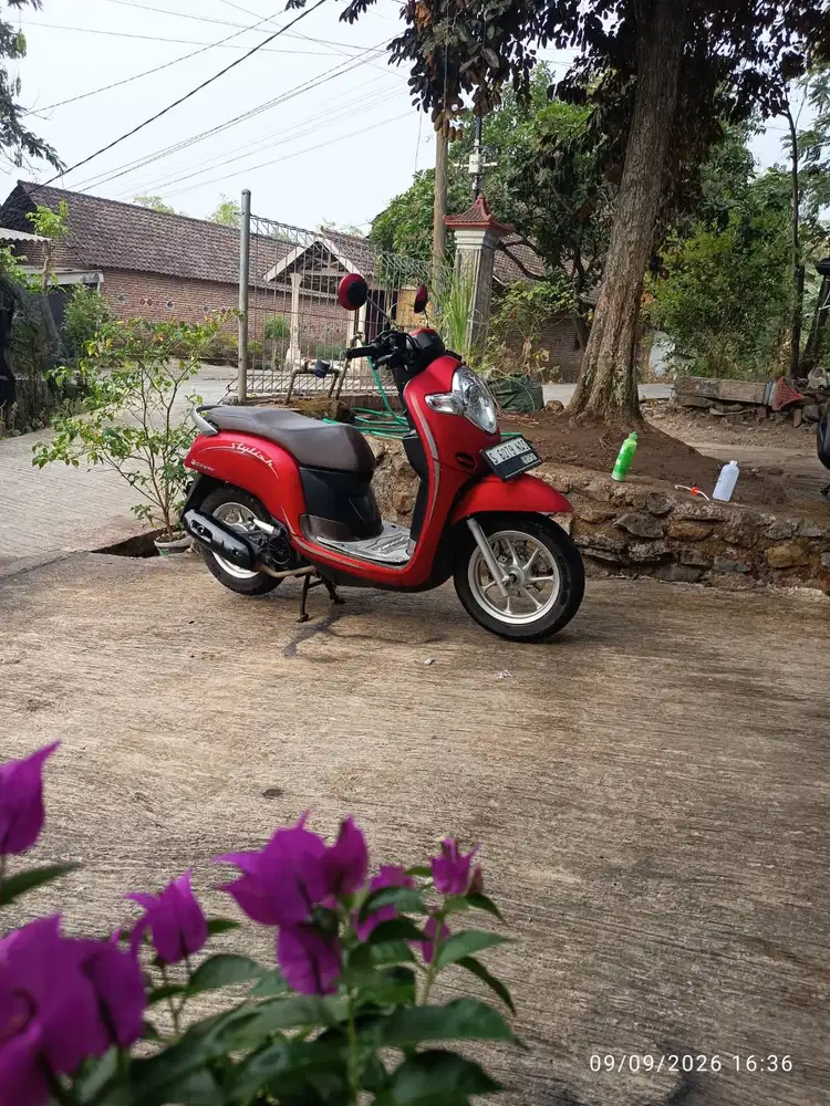 Honda scoopy 2020 mulus