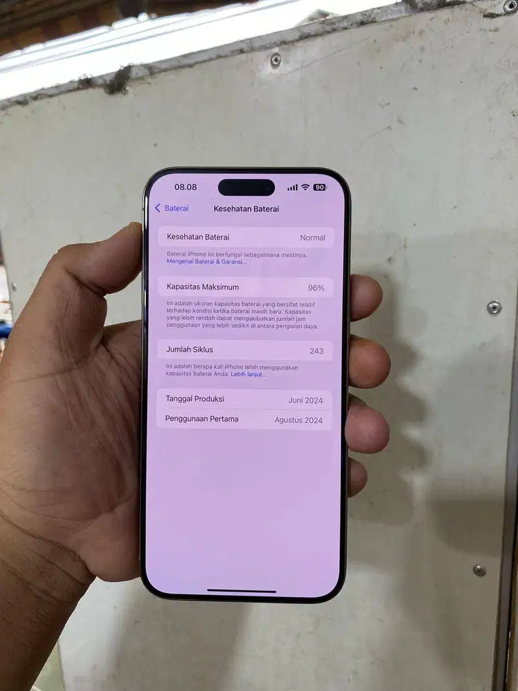 iPhone 12 / 13 (White / Silver)