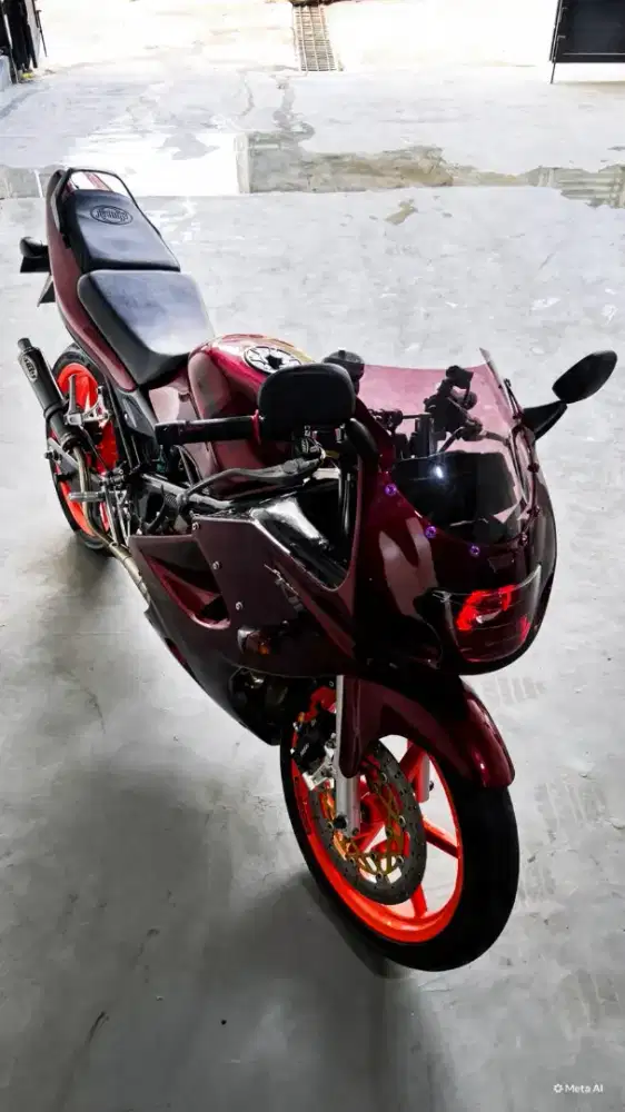 Kawasaki Ninja Sport.