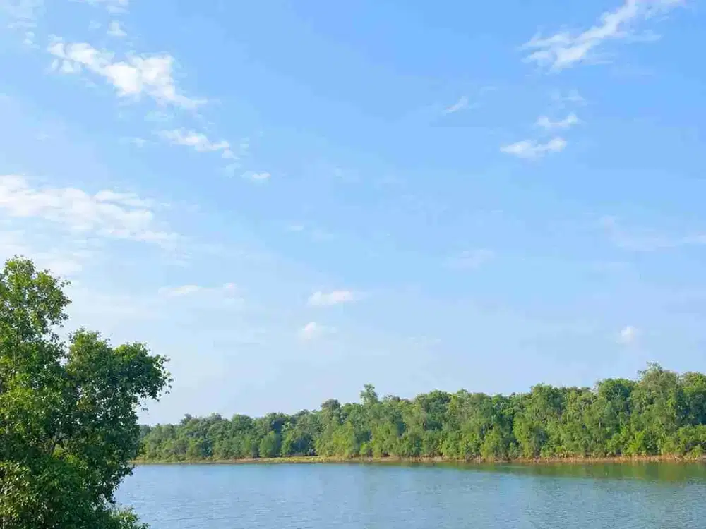 DIJUAL – Lahan Industri & Komersial LT ±10 HA PPAT Murah Palaran Samarinda