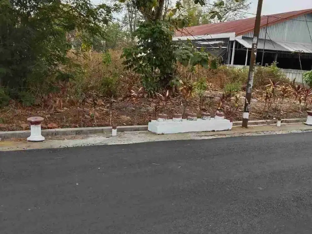 Disewakan Tanah 1200m Timur Kampus Tajem Msgueoharjo
