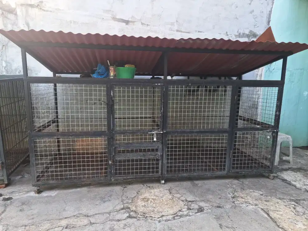 Kandang Anjing Ras Besar
