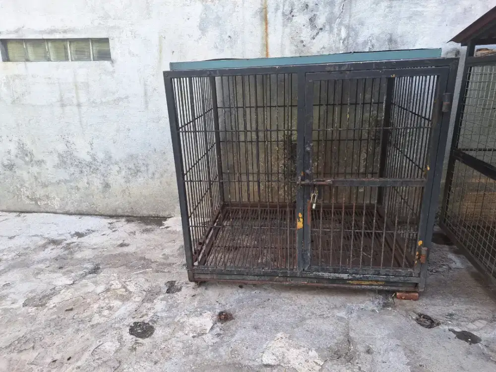 Kandang Anjing Ras Besar