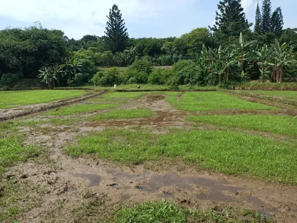 Dijual Tanah Bisa Untuk Perumahan Di Daerah Kota Purwakarta