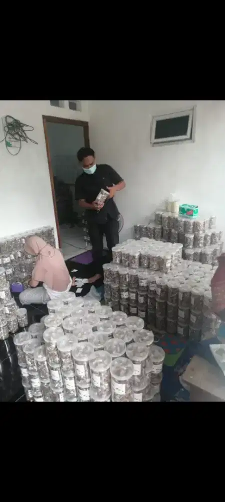 Di cari motoris laki-laki