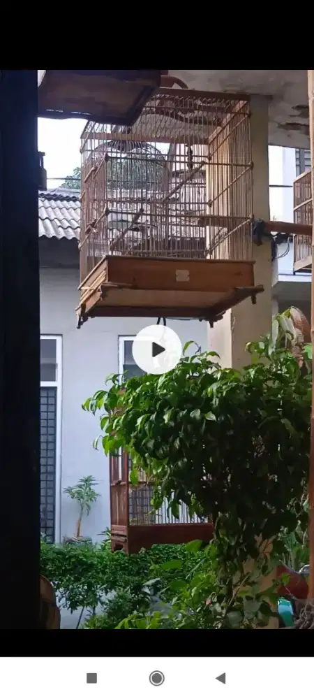 Kandang kotak no 2 masih bisa dipake di BSD