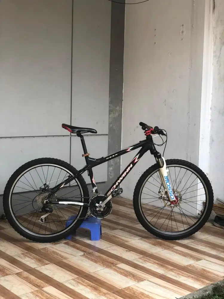 JUAL CEPAT SEPEDA SCHWINN MESA MADE IN USA