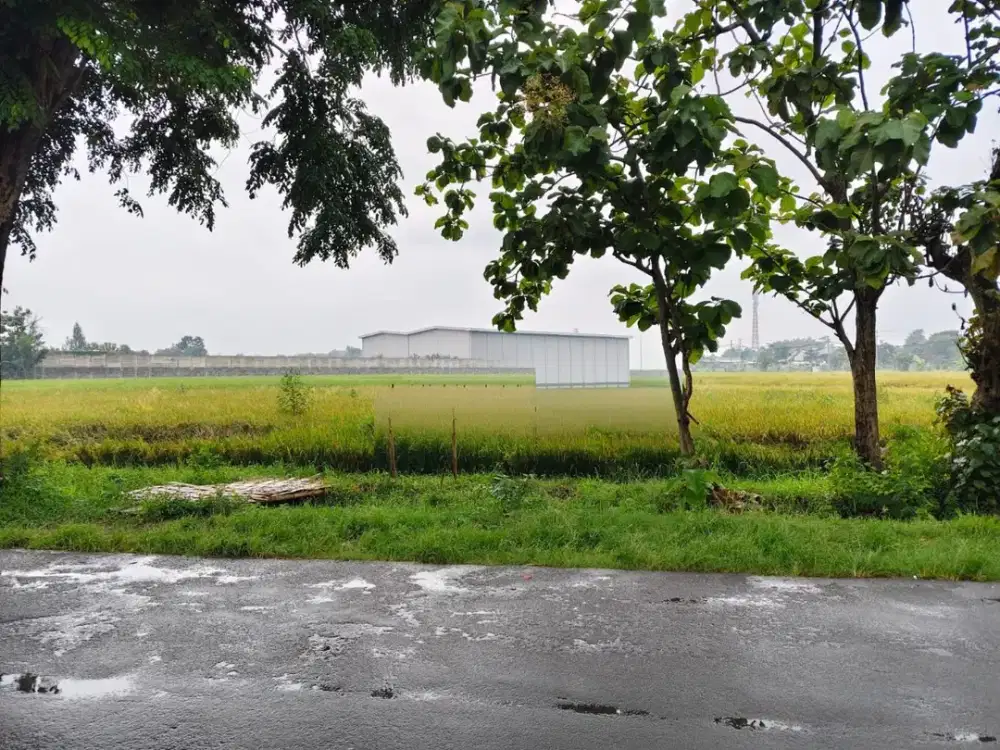 Tanah Akses Kontainer Kawasan Gudang dan Industri
