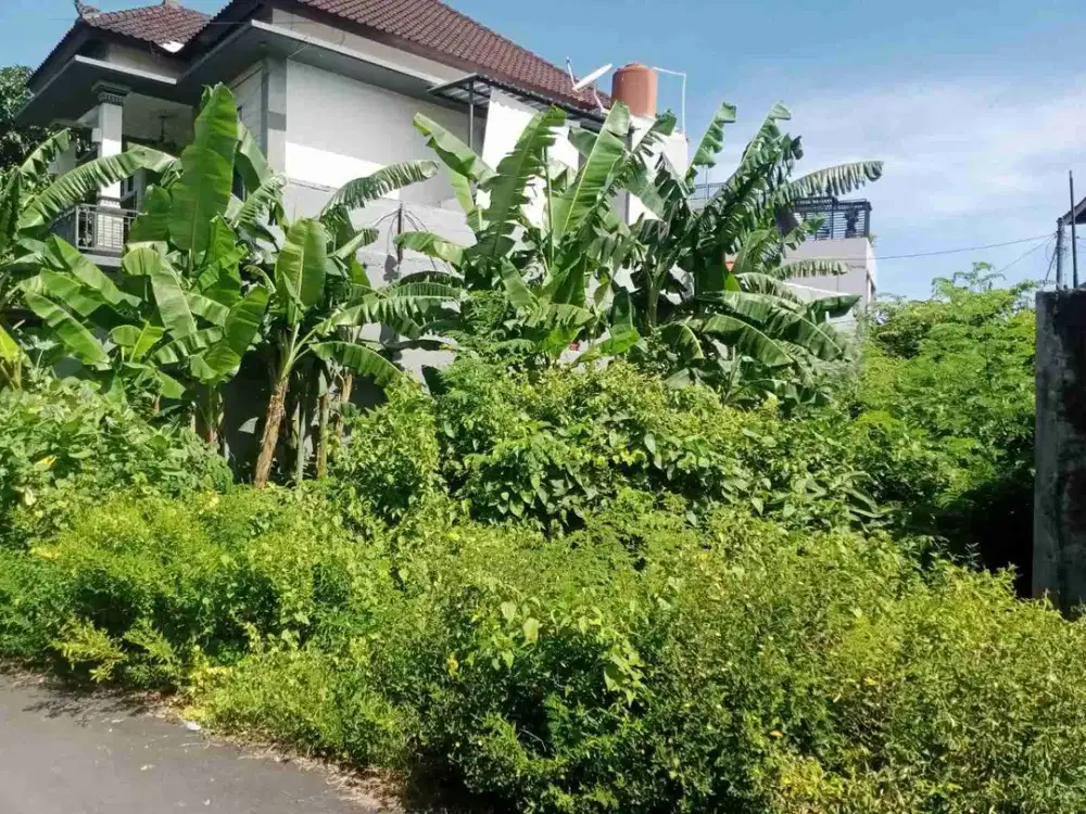 Tanah 200m² Dekat Kampus Udayana Jimbaran Bali