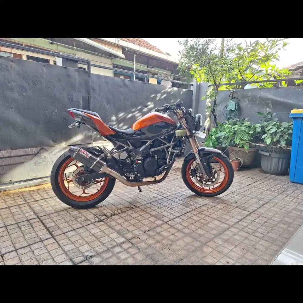 Kawasaki Ninja Z 250