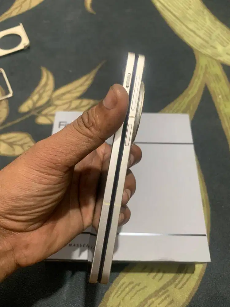 iPhone Pro Back View